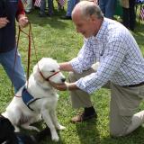 Congressman Keating petting a dog.